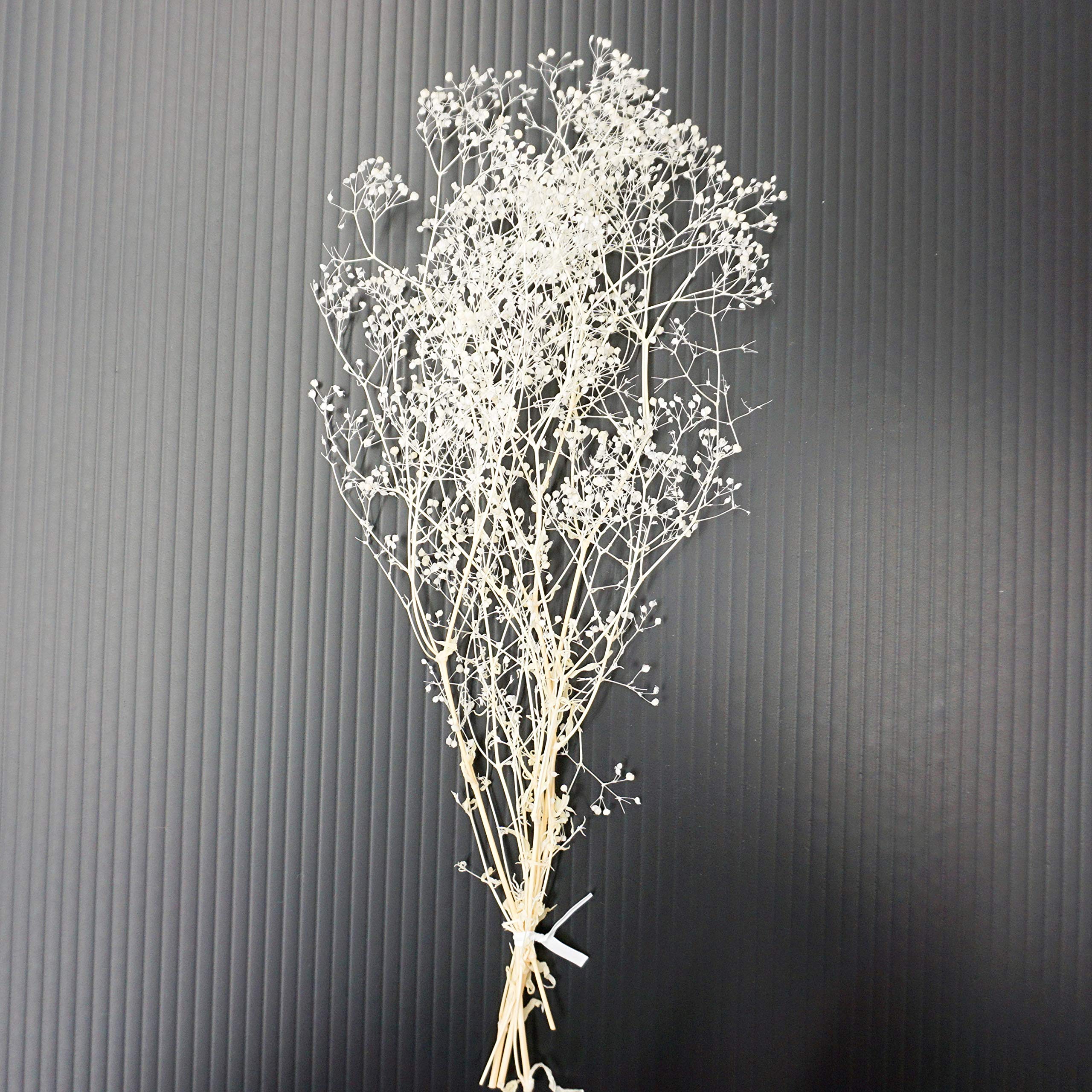 かすみ草様　専用ページ２ Amazon | 光栄堂(Koeido) 模型用素材 フラワーツリー かすみ草